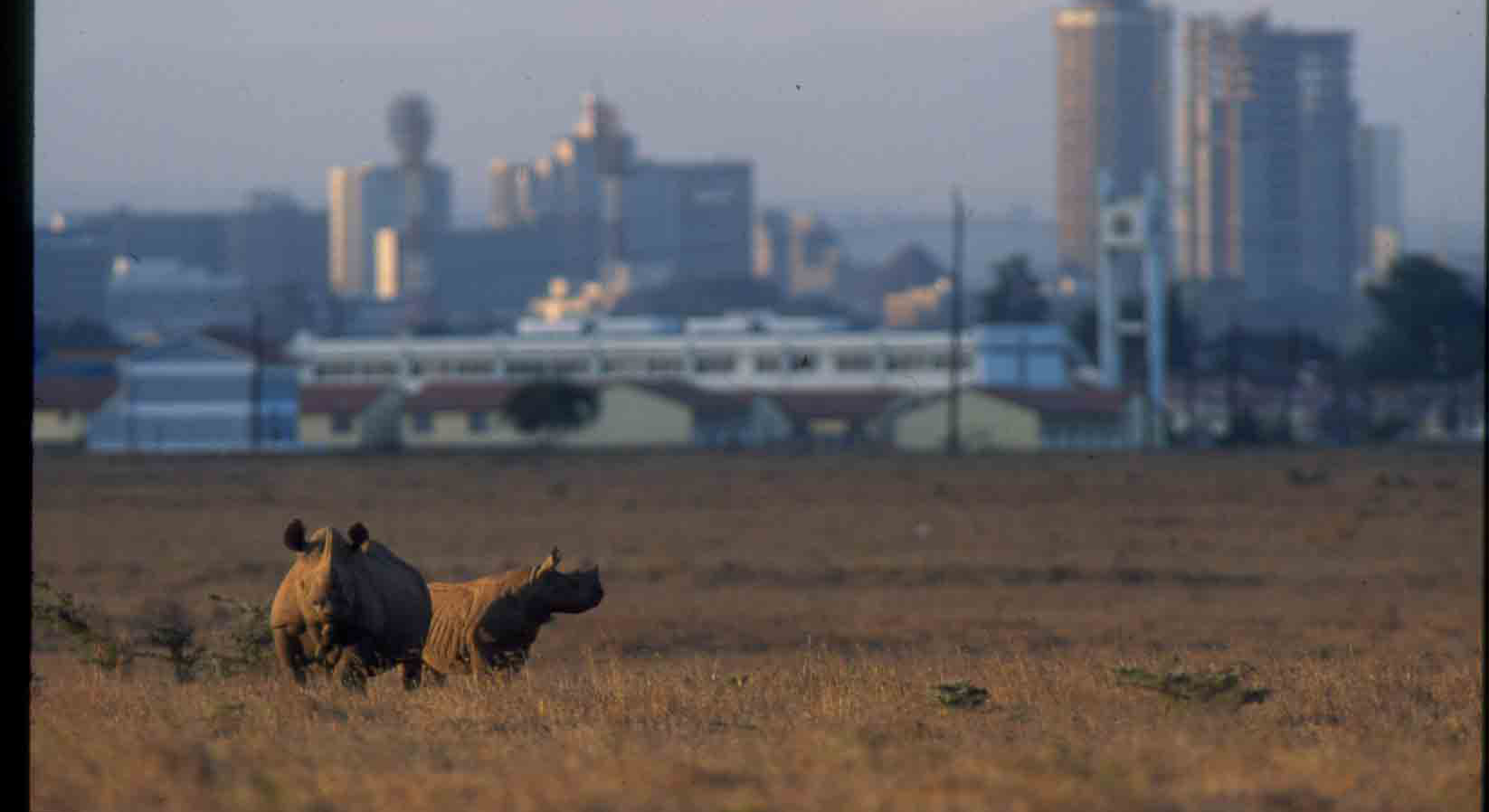 nairobi national park