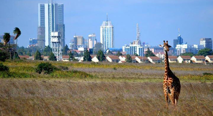 nairobi national park