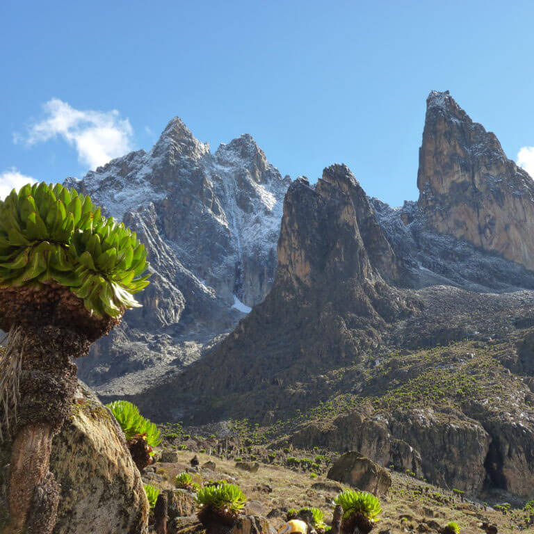 mount kenya