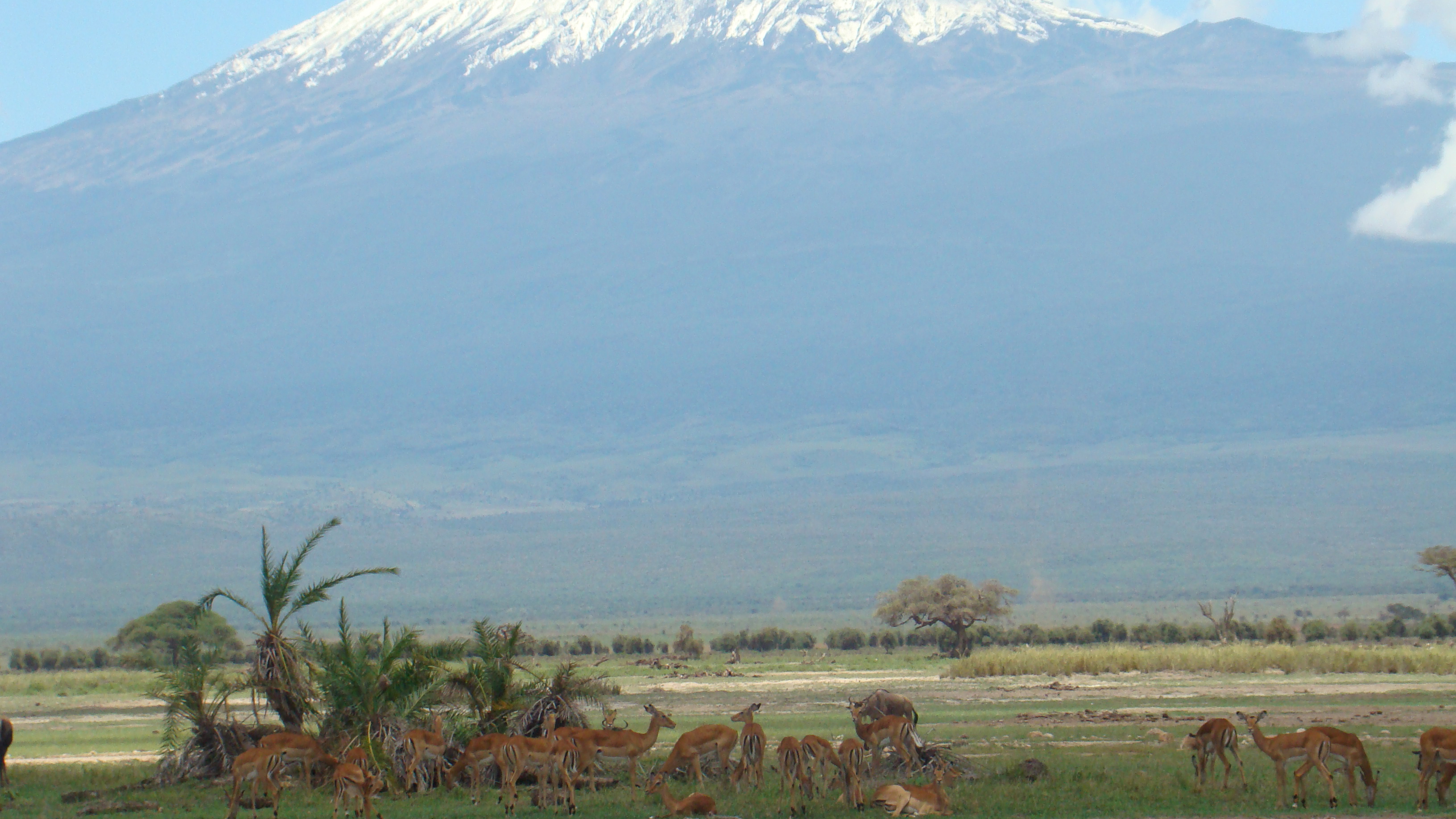 tsavo