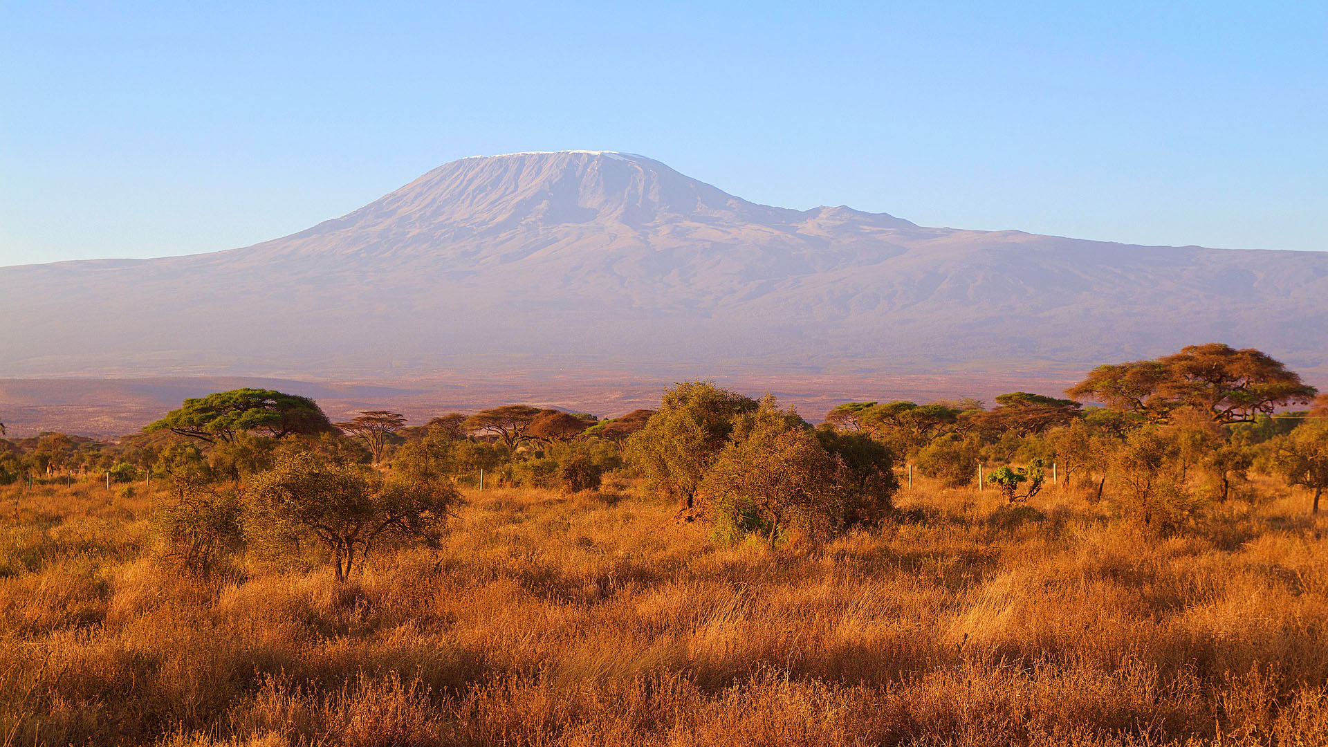 Kilimanjaro