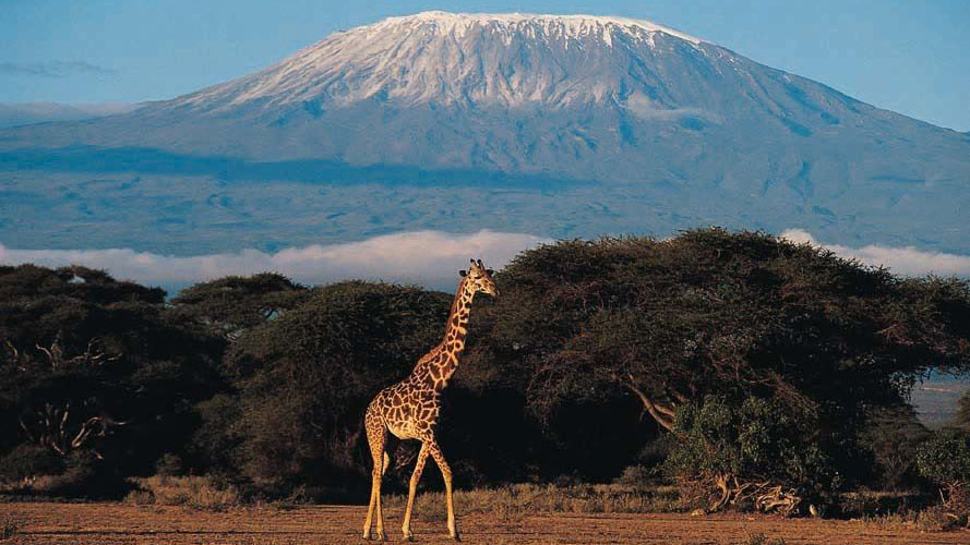 amboseli