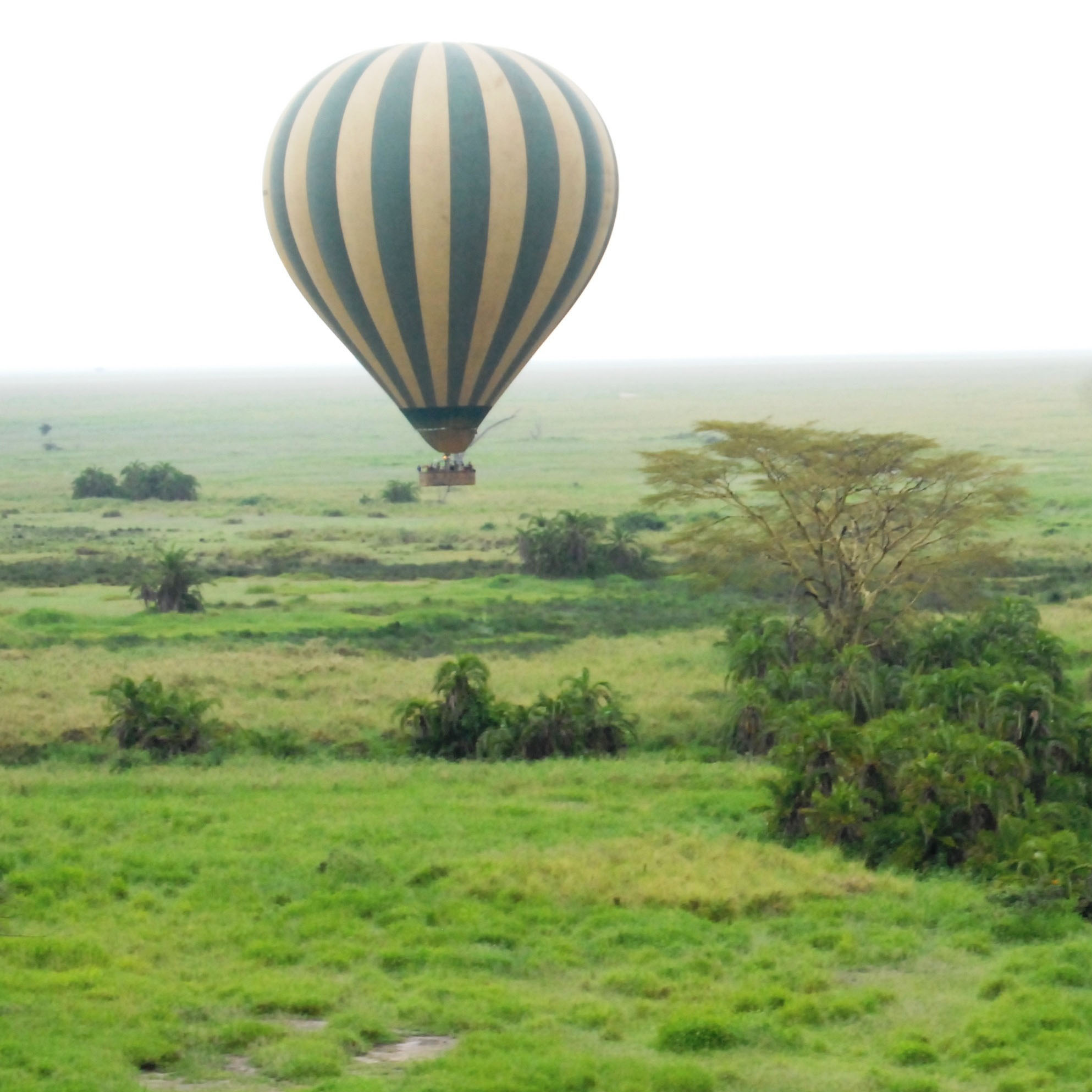 hot air balloon