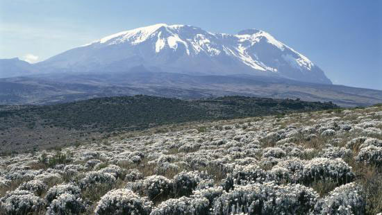 Mount Kilimanjaro