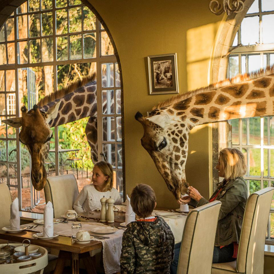 The Giraffe Manor Hotel