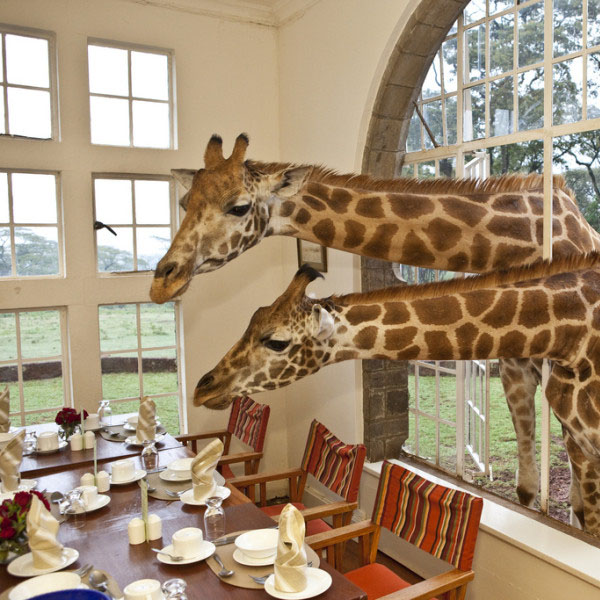 The Giraffe Manor Hotel