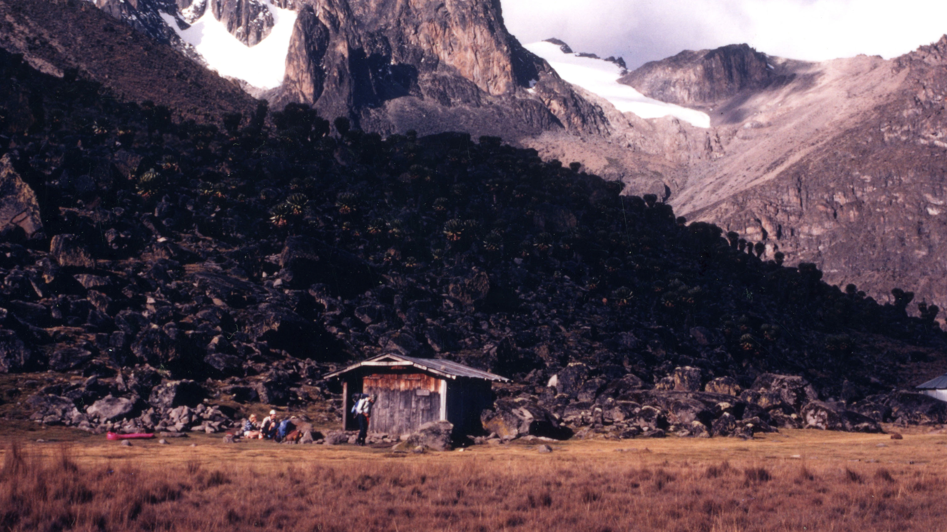 mt kenya