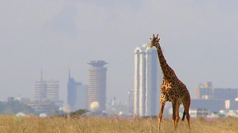 nairobi