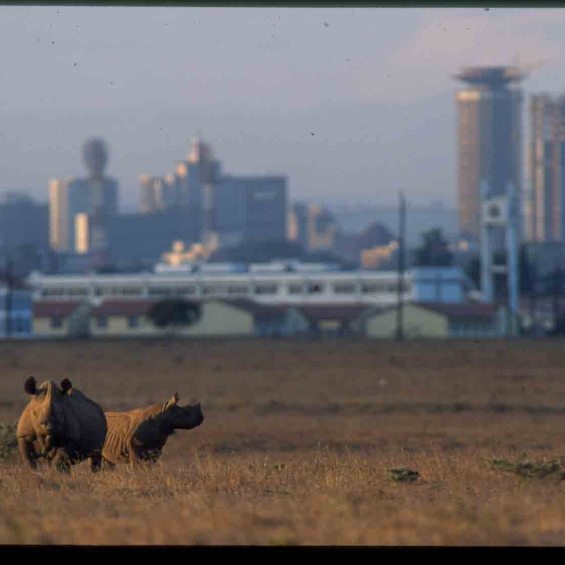 nairobi