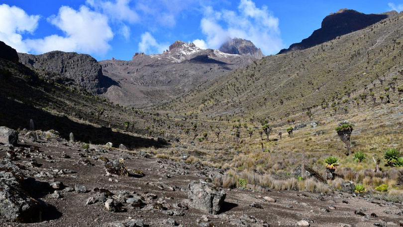 Mount Kenya