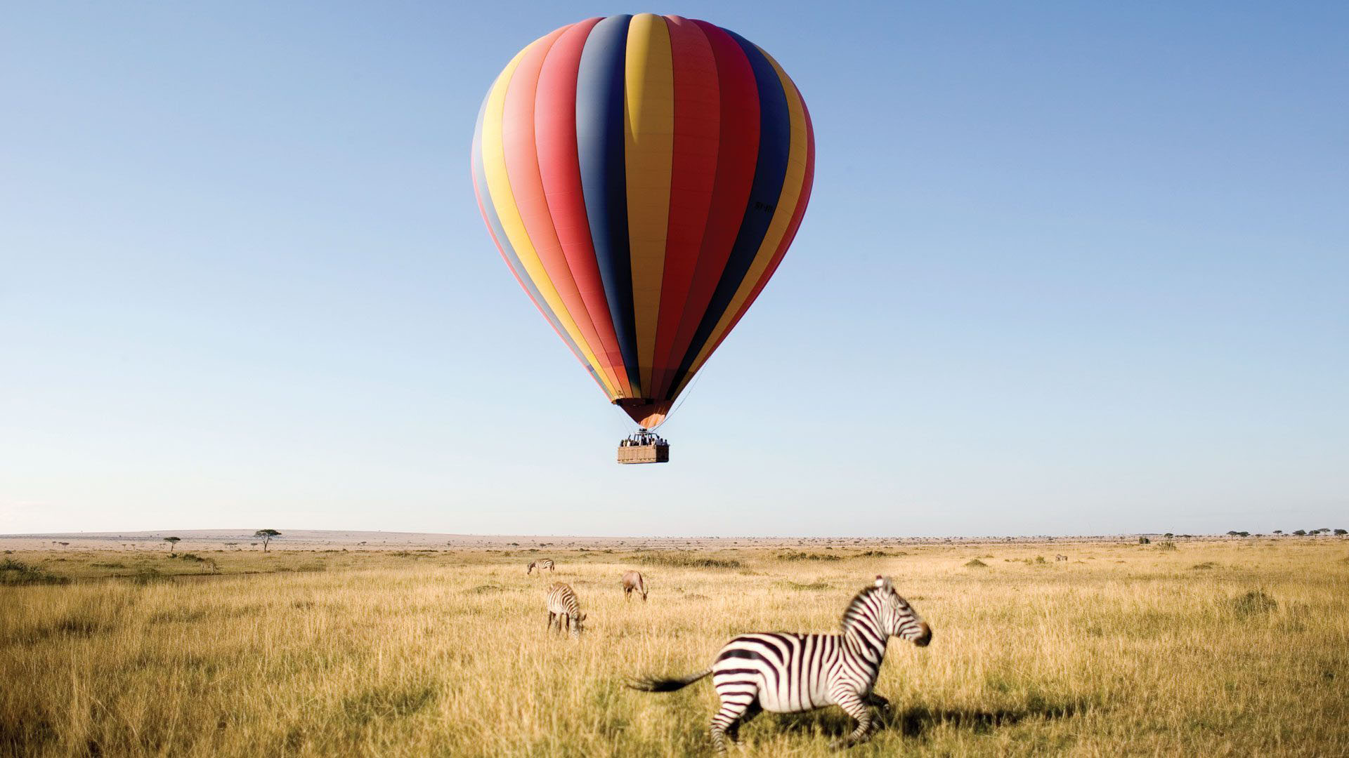 hot air balloon