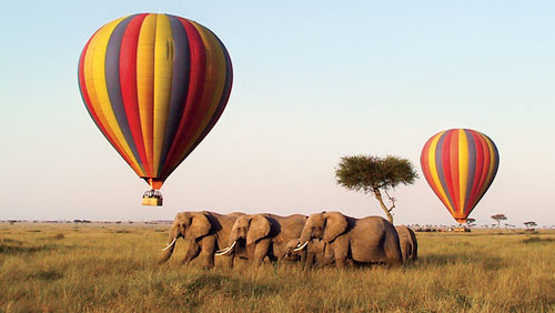 hot air balloon