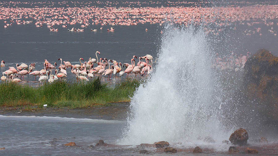 l bogoria