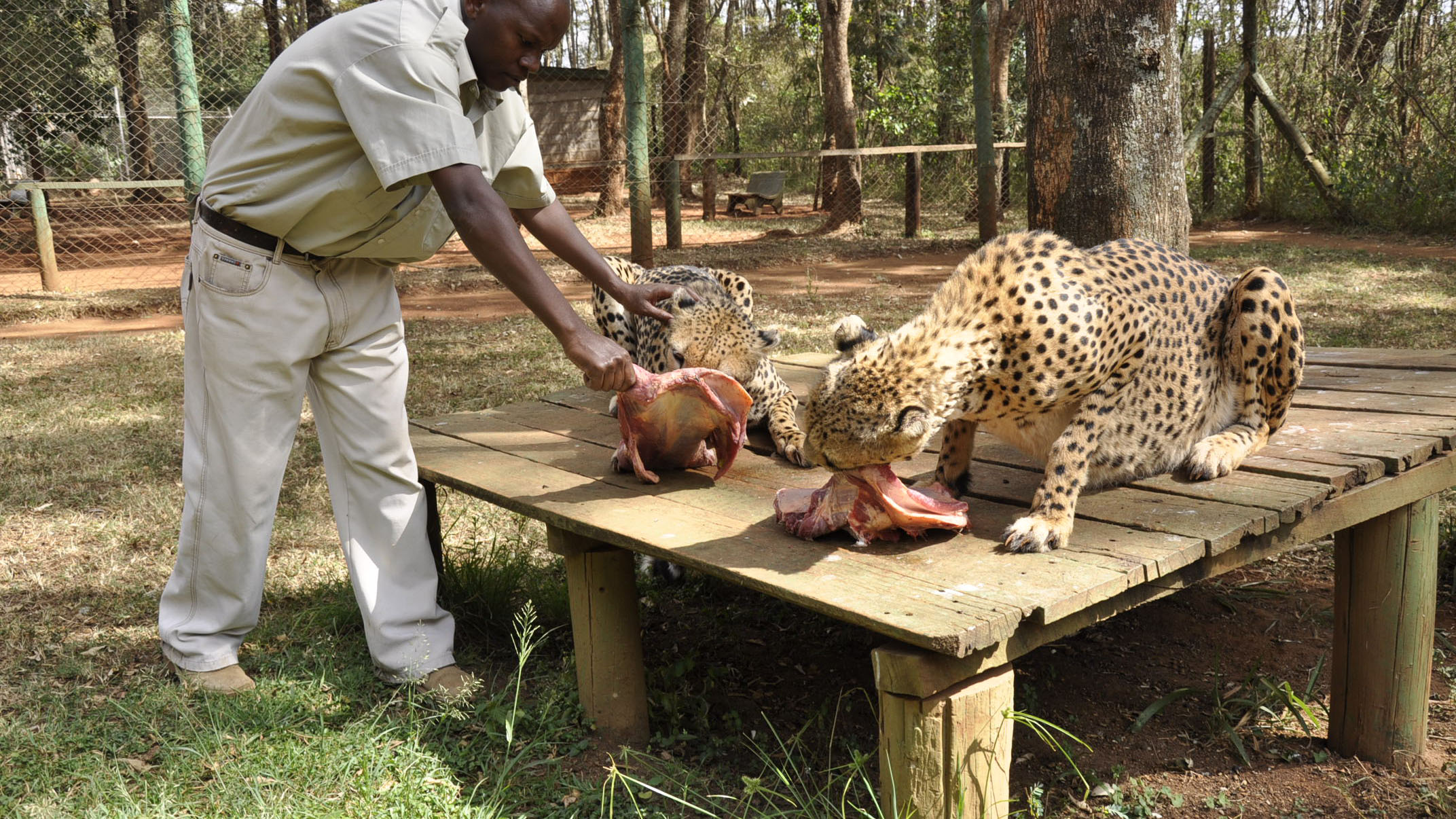 nairobi ophanage