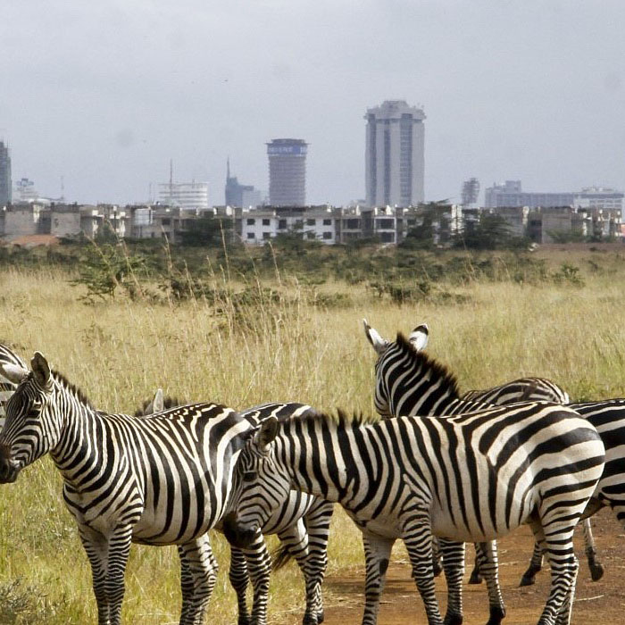 nairobinationalpark