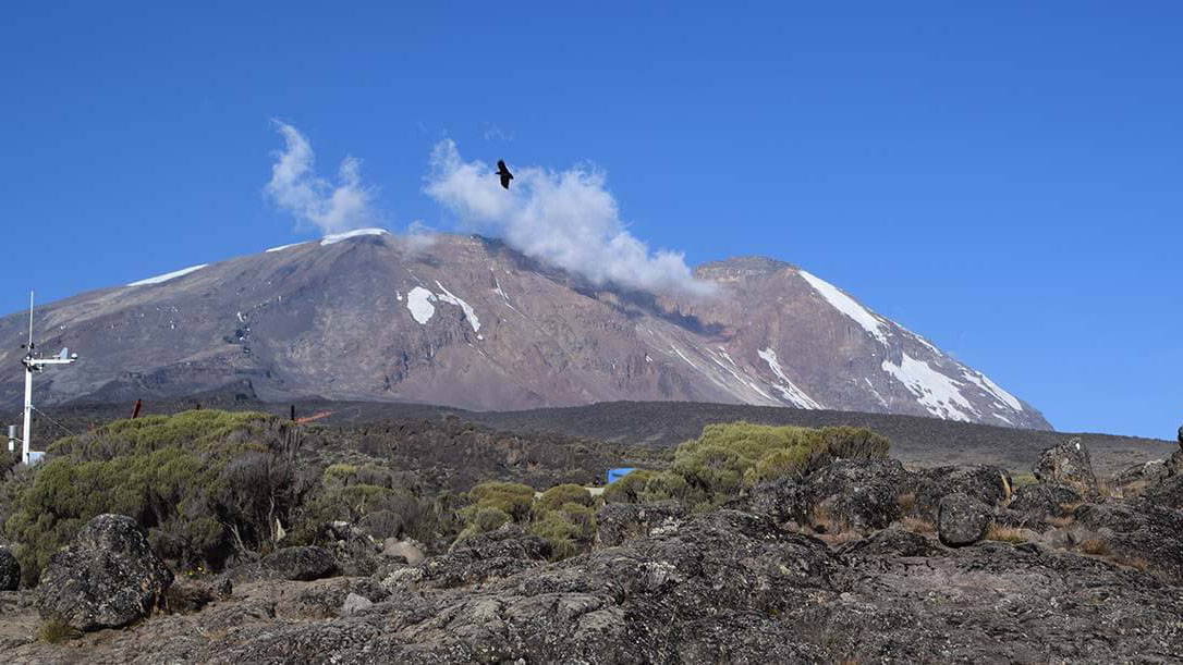 Mt Kilimanjaro