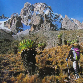 mount kenya