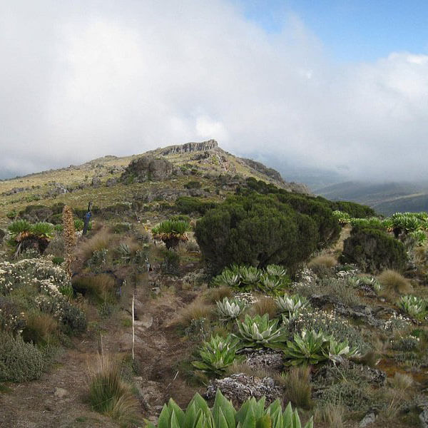 mount kenya