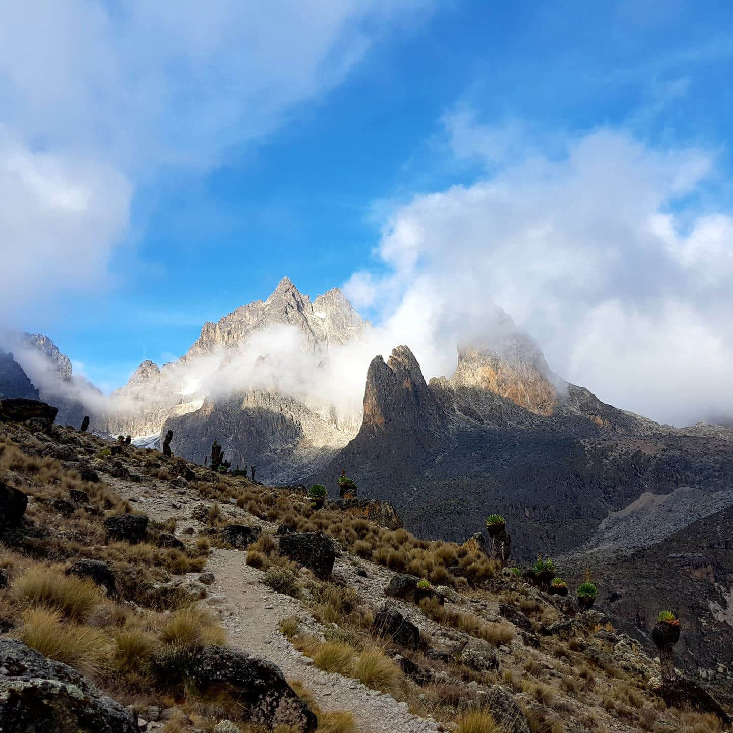 mount kenya