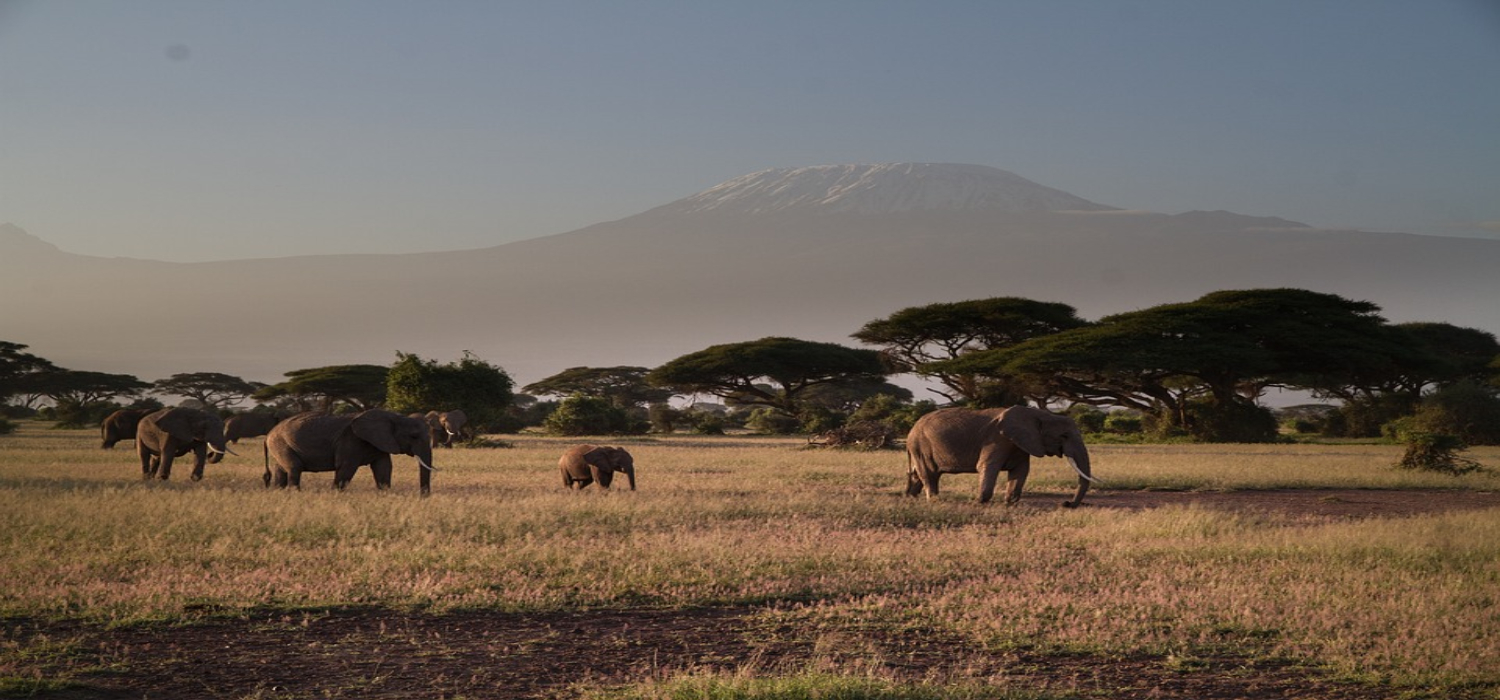 amboseli