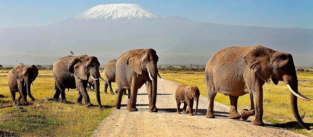 lake manyara