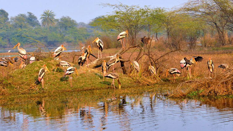 lake nakuru