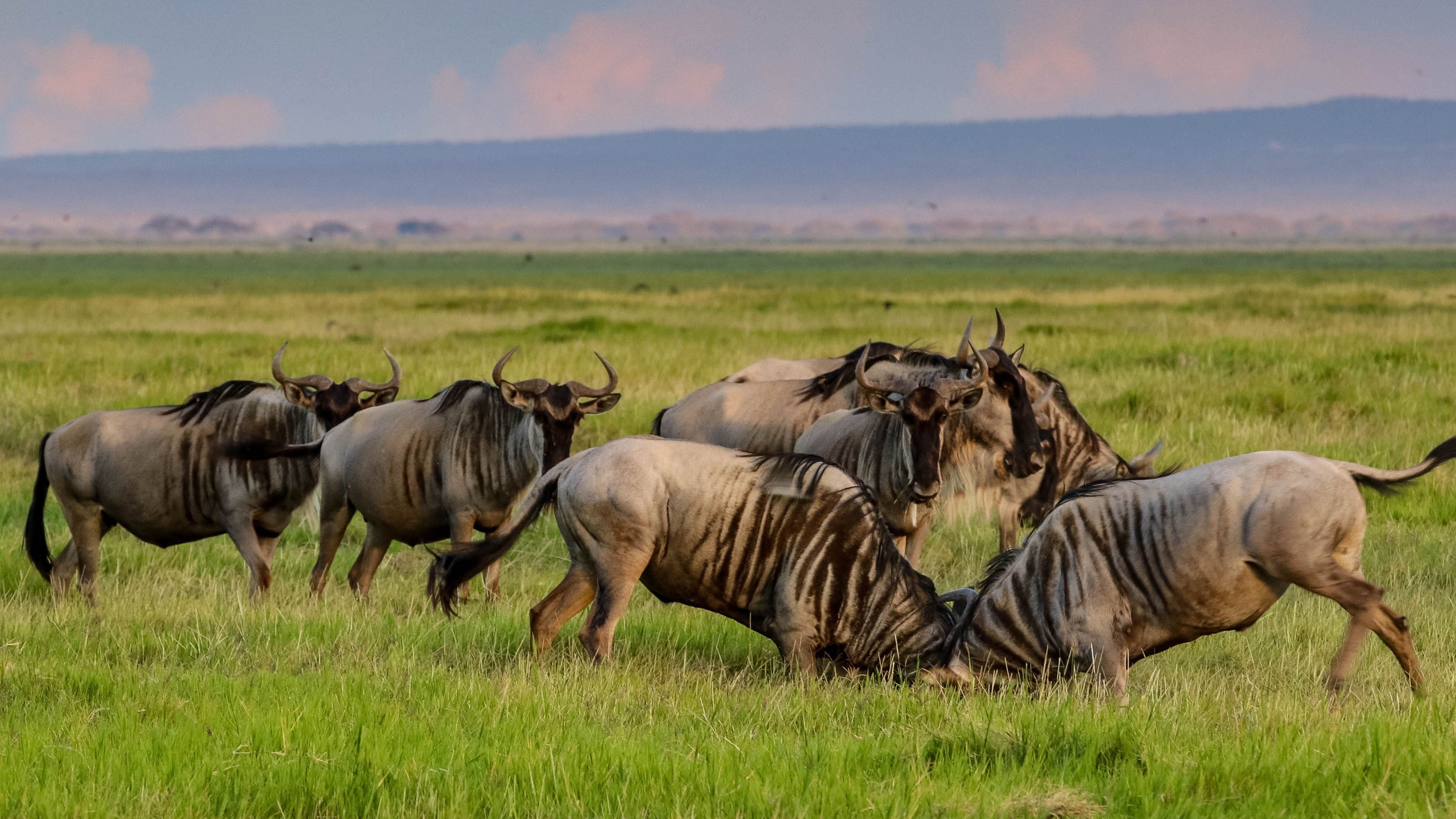 samburu national park