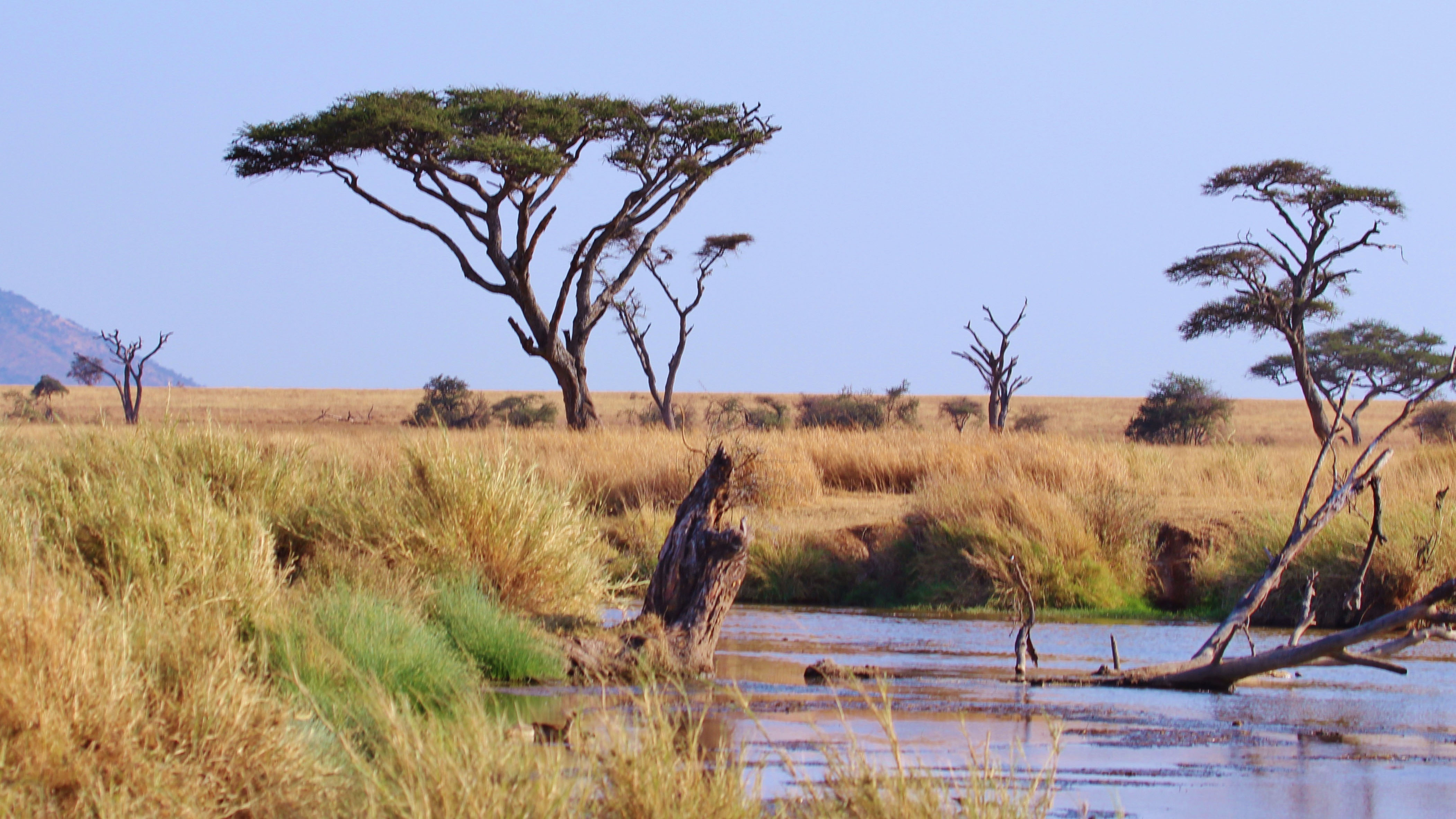 lake manyara